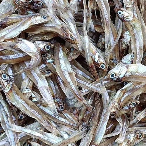 Khô cá cơm