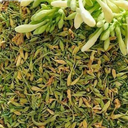Trà hoa đu đủ đực
