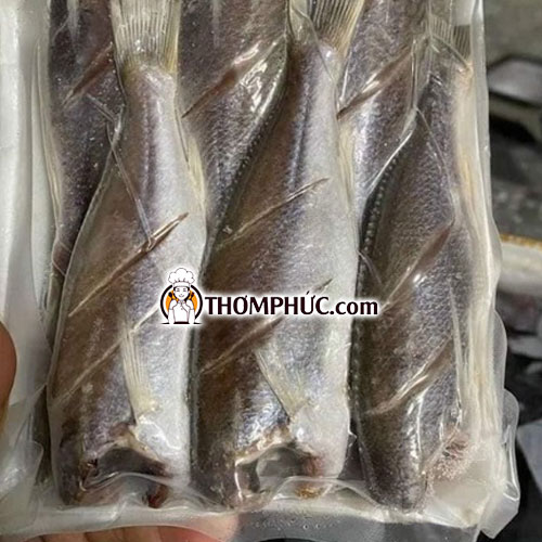 Cá đù một nắng size lớn