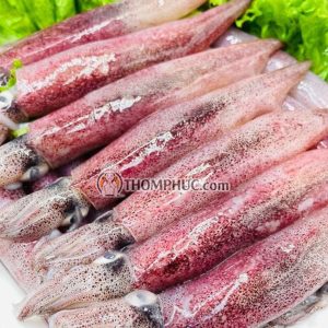 Mực ghim sau khi đánh bắt lên là cho vào khay vận chuyển về cửa hàng vẫn đảm bảo được độ tươi ngon