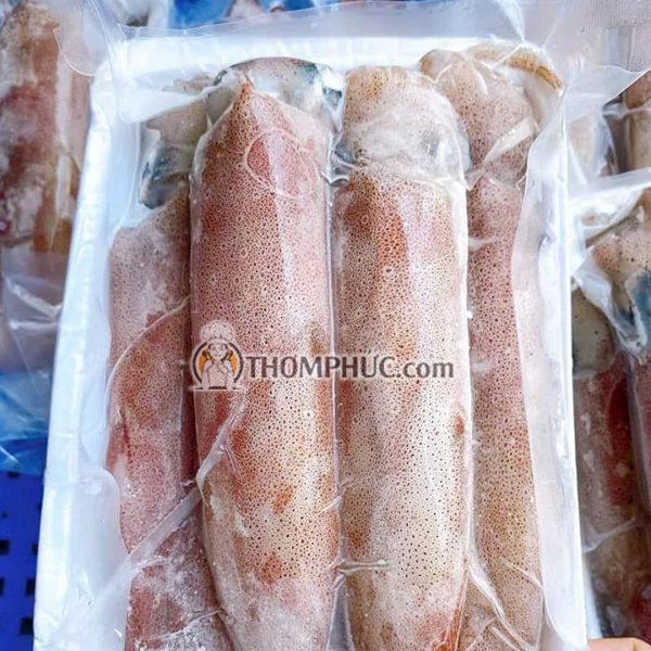 Mực ống nháy Nghệ An tươi ngon