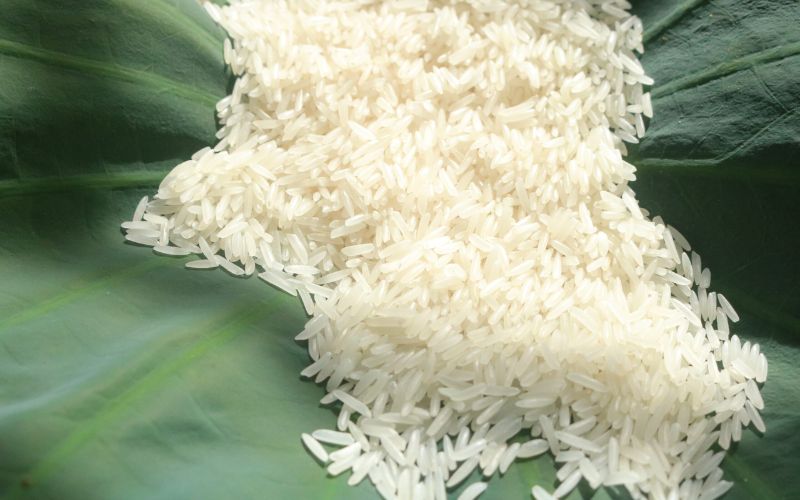 Gạo ST Đắk Lắk – Món quà quê giản dị nhưng đầy ý nghĩa